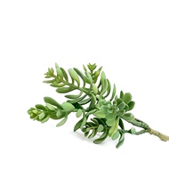 Jade faux succulent