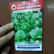 Malabar Spinach vegetable seed/Remayong benih sayur/帝皇菜菜种