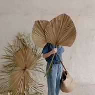 Decorative palm leaves, decorative palm leaves decor