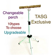 Parrot perch stand indoor adjustable perch Bird tripod stand pepperwood parrot stand tripod  freefly