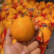 Jeruk Dekopon Papagan Yuji Manis Premium 1 Kg