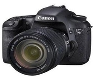 彩色鳥 (相機出租**鏡頭出租) Canon 7D + Canon EF 100mm f2.8 MACRO USM