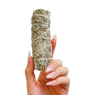 Blue Sage Incense Grandmother Sage/ Desert Handmade Smudge/ ±11cm