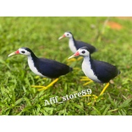 Patung Burung wak wak/Decoy wak wak memikat burung