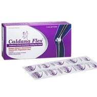 CALDANA FLEX STRIP 6 TABLETS