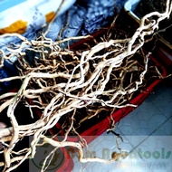 Forest Root Driftwood - Aquatic Forest Roots Extremely beautiful twisted hard type (100gram)