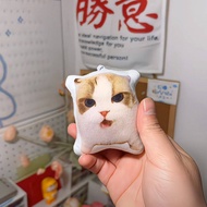 New cat sound pendant, Berlin Sound Hitler cat plush toy, cat voice pendant, plush sound keychain