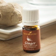Young Living Ginger Essential Oil 5ml