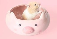 可愛卡通小動物造型 大浴室 食盆 飼料盆 陶瓷菸灰缸 創意個性潮流 多功能 倉鼠 黃金鼠 天竺鼠 兔子