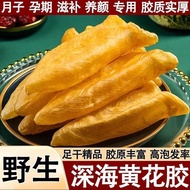 湛江深海正宗花胶黄花鱼胶正品鱼肚干货鱼鳔野生鱼胶正品煲汤鱼胶jingquek1.my26.5.8
