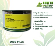 MARITIMA  LETTUCE SEEDS BY ENZA ZADEN (5000 SEEDS CAN)