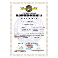 READY STOK SERTIFIKAT BELA DIRI TAEKWONDO(ONLY FILE PDF) FREE ONGKIR