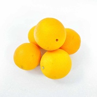 【舒果】#88s美國肚臍丁 (40粒/約8.8kg/箱)