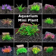 AQUARIUM MINI PLANT ARTIFICIAL DECORATION PLASTIC PLANT FISH TANK POKOK HIASAN