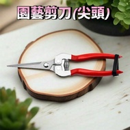 [Dongma Shop] Pruning Shears Stainless Steel Pruning Shears Gardening Shears Grape Shears Flower She