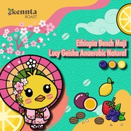 Ethiopia Bench Maji Lucy Geisha Anaerobic Natural Coffee Bean