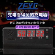 Electric Vehicle Charger Rechargeable Battery 48/60/64v Pulse Repair Lead-Acid Battery High Power