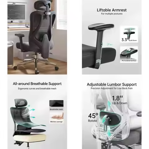 Hbada P3 Ergonnomic Office Chair with 2D Adjustable Lumbar Support, Office Chair with Adjustable Hea