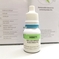 13ml Hanna Gel Bridge Electrolyte for pH Tester Hanna Instruments HI9071 HI 9071 H19071 H 19071