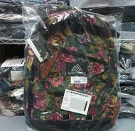 🔥Gregory 26L all day tapestry