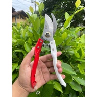 GUTINGTAMAN - BONSAI SCISSORS - GROWING SCISSORS - FRUIT SCISSORS - SMALL SCISSORS YAP BRAND