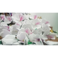 Giant white flower head