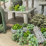 PARADEAO Mini Artificial Cactus Plant, Real Touch Plastic Artificial Succulent Plant, Simulation Cac