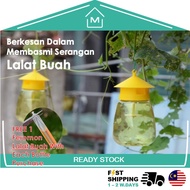 Anti Fruit Fly Trap Pheromone Attractant Bottle Catcher | Botol Perangkap Lalat Buah Feromon 果蝇诱捕器引诱
