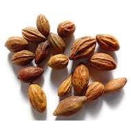[Herbs] Kadukai (கடுக்காய்) /Buah Langkau/Terminalia chebula ±50g