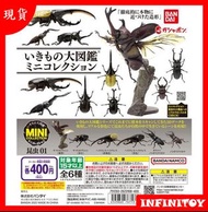 BANDAI  - 仿真甲蟲 第一彈 全套扭蛋