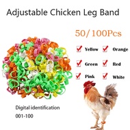50/100pcs Chicken leg rings with 7 colors for chicken duck tag rings