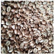 Green Bean / Biji Kopi Arabika Anaerob Halu Banana 1 Kg Original