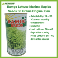 RAMGO LETTUCE MAXIMA RAPIDS  SEEDS 50 GRAMS ORIGINAL CAN