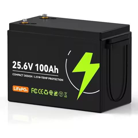 Compact 24V 100Ah Lithium Battery, 24V 100Ah LiFePO4 Battery 5000+ Cycles, Built-in 100A Low Tempera