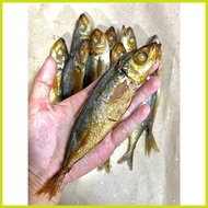 ◠ ♆ ◮ ∇ Tinapang Galunggong / Tinapang Bataan / fresh vacuum sealed/ quality masarap malinamnam hin