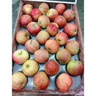 South Africa Honey Apple (3pcs)