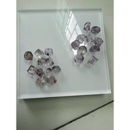 (385)Aura 23 raw seeds in vip size 7-9li+