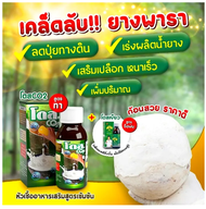 DOSE โดส Co2 หัวเชื้อสูตรเข้มข้นสำหรับทาหน้ายาง เปิดตัวนวัตกรรมใหม่ โดส Co2 ซีโอทู สารเสริมพืชยางพาร