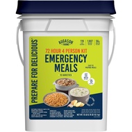 Augason Farms 72 Hour 4-Person Kit Emergency Food Supply (6.58 KG)