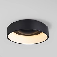 Orbit吸頂燈 45/60直徑