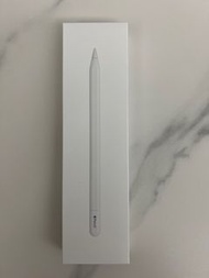 iPad Pencil USB-C 全新有保養