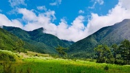 高山農場‧森癒百花爭豔│武陵農場～南谷生態遊‧福壽山農場‧祕境合歡溪步道二日｜大人囝仔