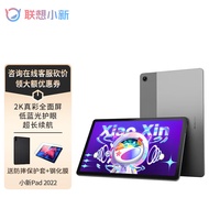 联想平板电脑 小新Pad 安卓平板二合一 护眼模式 网课学习学生办公 小新Pad 6G+128G 灰 2022款 WIFI 官方标配