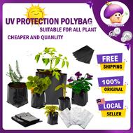 1Pc UV Protection PolyBag /Thick Nursery Plantation Plastic Poly bag/Polibag Fertigasi/Plastik Semaian Benih Seed / PolyBeg / Black &amp; White Tanah Hitam PCS 6x9 7x10 8x12 12x15 14x12 16x16 18x18 24x24 Tahan Lama Kuat