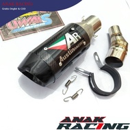 Slip on exhaust Ninja 250 fi mono carburetor R25 MT25 CBR 150R CBR 250R cb160r CB150R CBR250RR z250