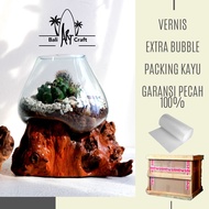 AKUARIUM IKAN CUPANG L 12 CM MINI / KACA TIUP DAN AKAR BALI / AQUASCAPE / AQUARIUM UNIK GLASSWOOD/ W