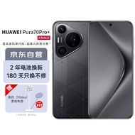 华为（HUAWEI）Pura 70 Pro+ 魅影黑 16GB+512GB 超高速风驰闪拍 超聚光微距长焦 双卫星通信 华为P70智能手机