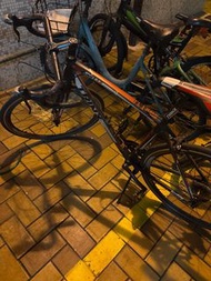 Trinx Wild Road Bike