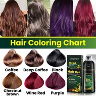 【Fast-selling】 500ml Shampoo Color And Care 3 In 1 Hair Color Shampoo Protects And Restores Hair In 10 Minutes With Hair Color Shampoo