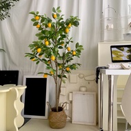 [พร้อมส่ง] Jnihouse : ต้นเลมอนประดิษฐ์ แถมตะกร้าสาน (Artificial Lemon Tree)